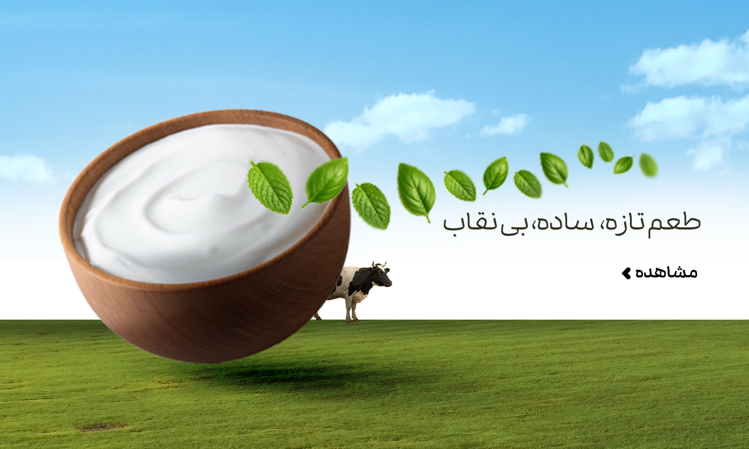 بنر ماست و محصولات لبنی